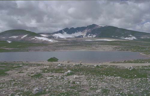 snohetta