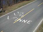 vivilvinne