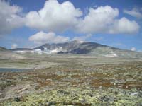 snohetta